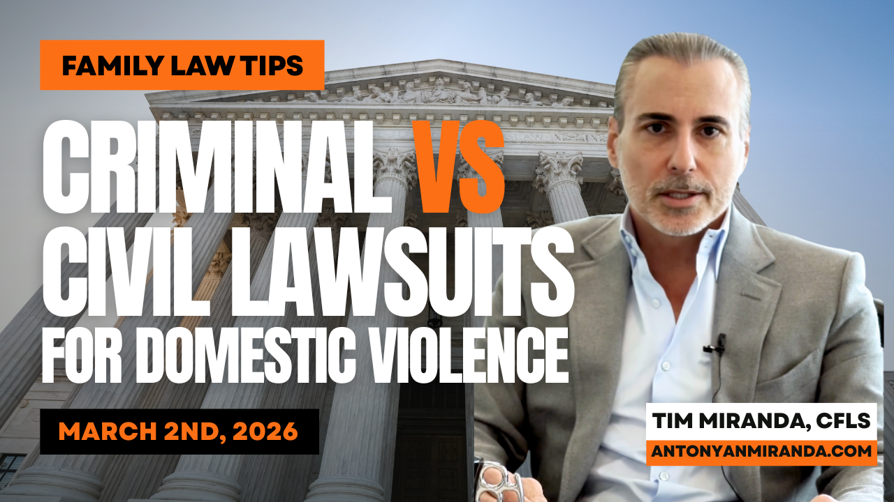 Criminal vs civil lawsuits for domestic violence