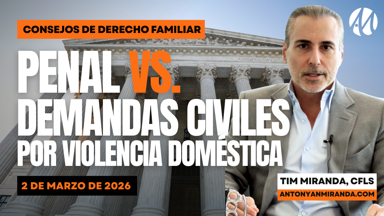 Penal vs. demandas civiles por violencia doméstica