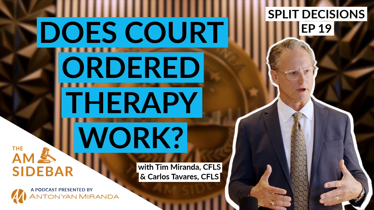 Should Courts Force Reunification Therapy? Family Law Attorneys Debate Child Custody Case